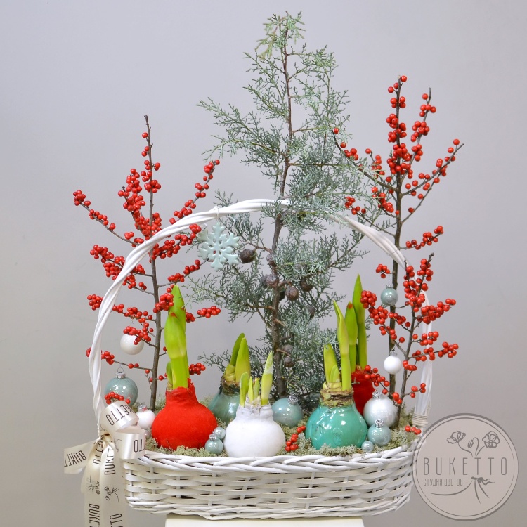 Композиция «Зимнее сердце» — новогодняя композиция с луковицами амариллисов, илексом и таежным мхом